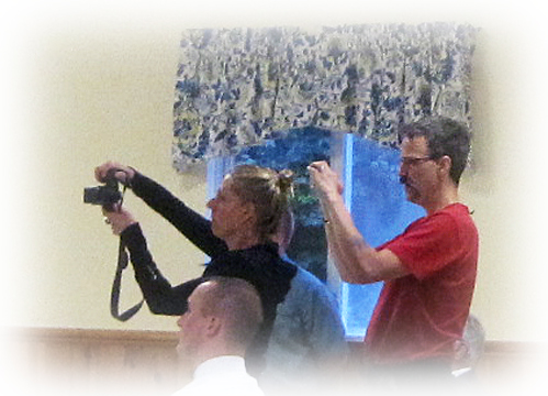 Dump Terry Bernardo – Dump David O'Halloran