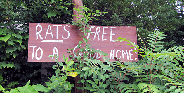 Dump Terry Bernardo Dump Len Bernardo Dump David O'Halloran