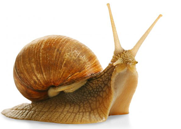 Dump Terry Bernardo Dump Len Bernardo Dump David O'Halloran