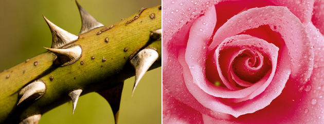 Ulster County Legislature